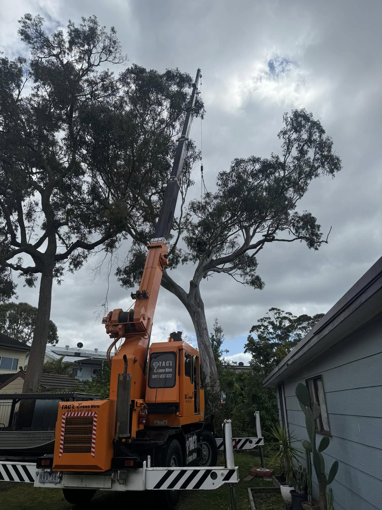 Mobile crane supporting a large tree removal near a residential property