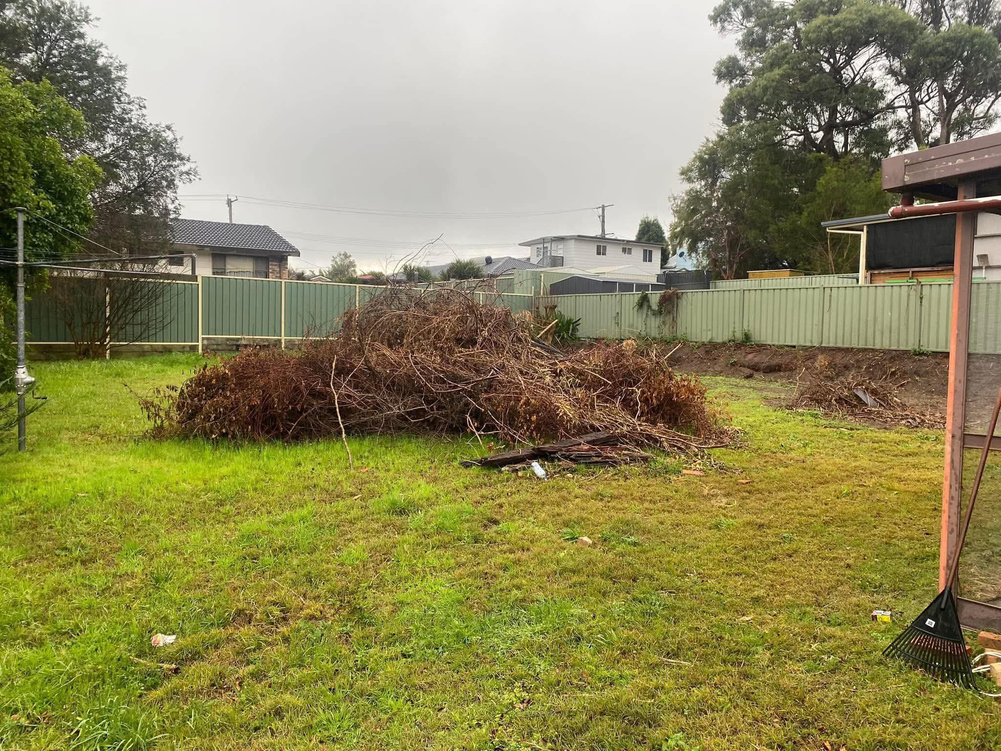 Yard before clean-up, with felled branches and debris across the lawn